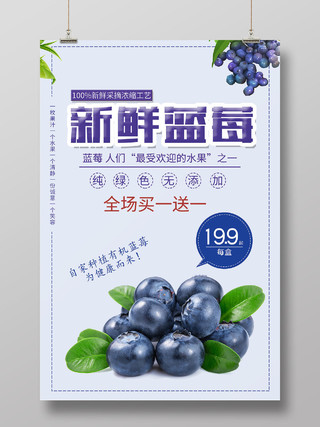 紫色大气水果新鲜蓝莓海报